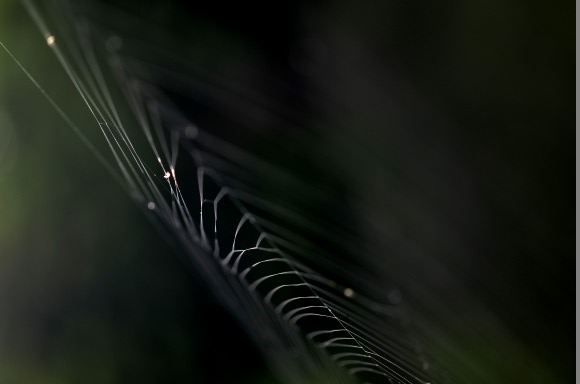 f0297861_022882.jpg