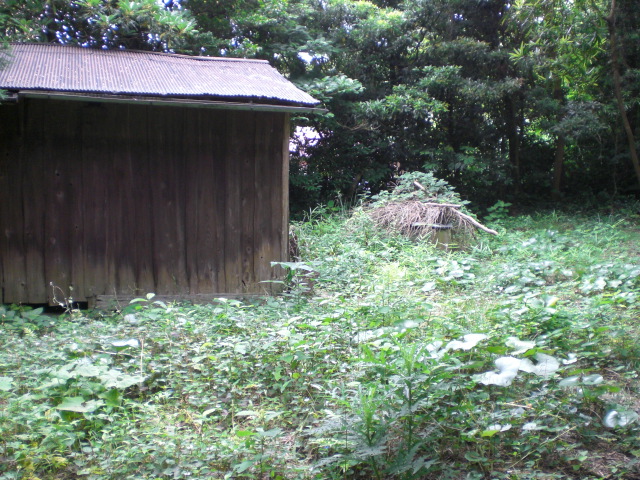 d0098363_14581221.jpg