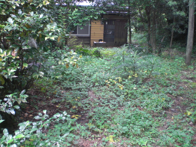 d0098363_14583238.jpg