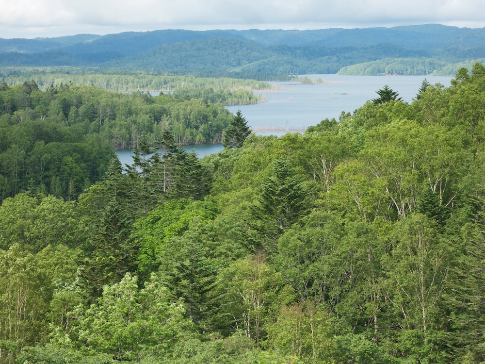 a0098864_21164091.jpg