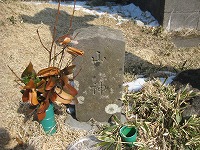 a0093965_12482037.jpg