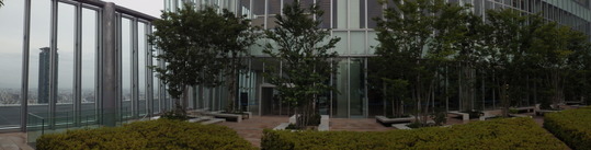 e0143671_11533161.jpg