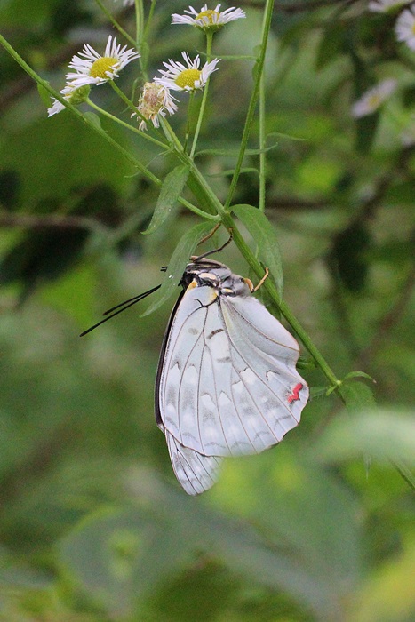 b0088772_20122747.jpg