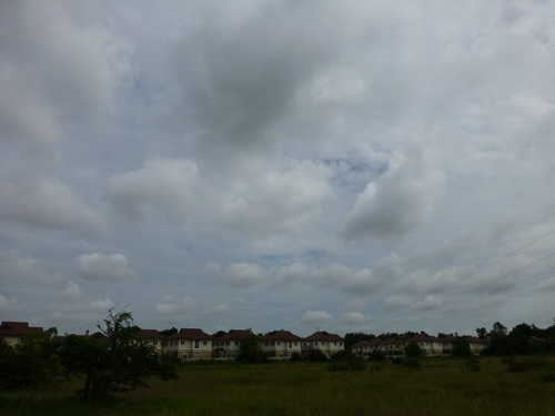 a0002177_1216443.jpg