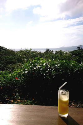 f0037378_175411.jpg