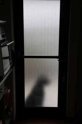 f0037378_1781617.jpg
