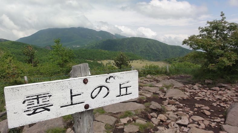 d0082980_2051328.jpg