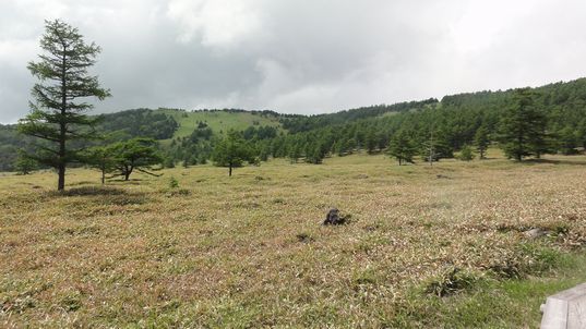 d0082980_20551274.jpg