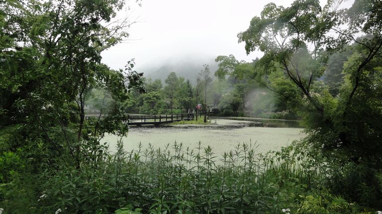 d0082980_21275579.jpg