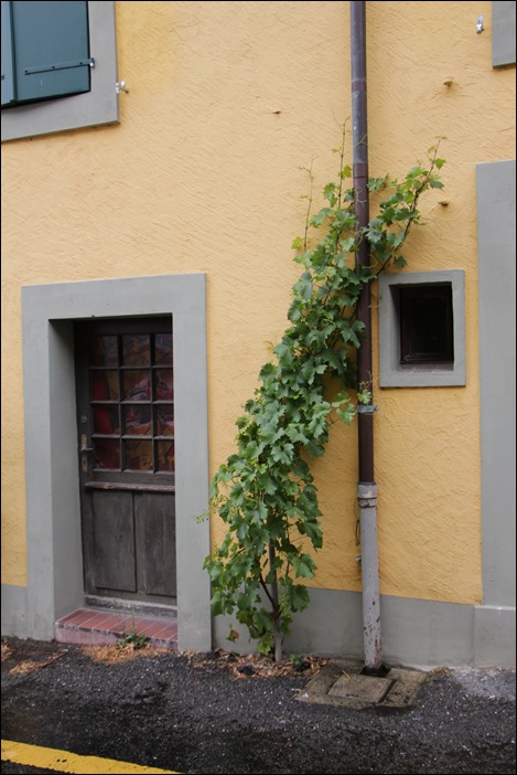 e0027083_11422354.jpg