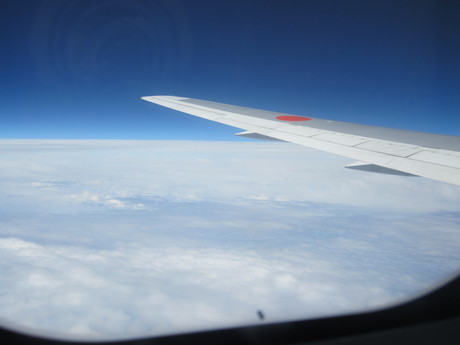 a0281590_035780.jpg