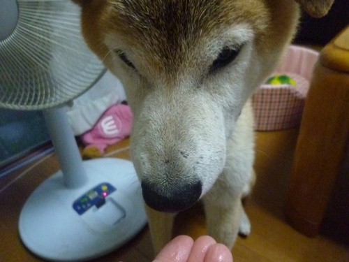 c0123890_1934439.jpg