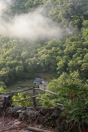 e0209997_1534381.jpg