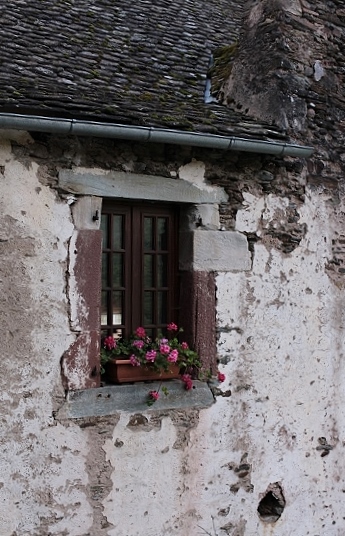 e0209997_15375031.jpg
