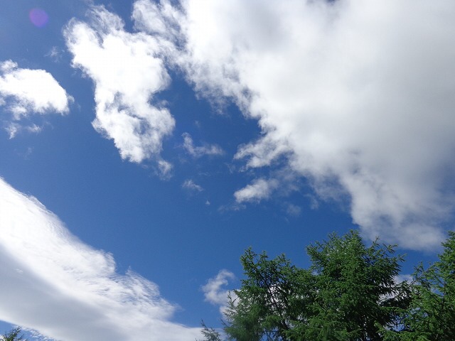 b0326303_08561160.jpg