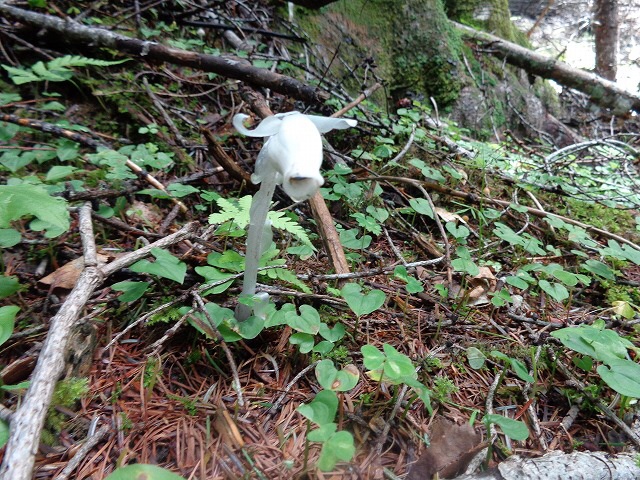 b0326303_22313719.jpg