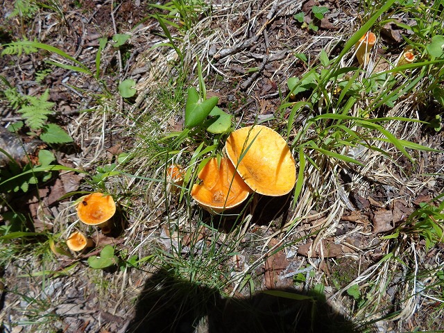 b0326303_22324275.jpg