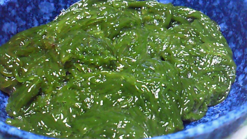 d0149105_7301557.jpg