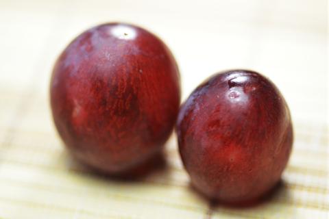 e0177509_2353433.jpg