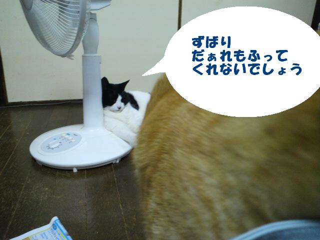 e0099212_2010323.jpg