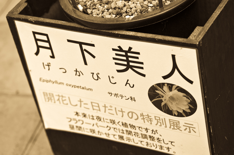 c0037519_9391953.jpg