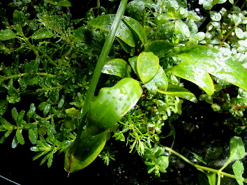 d0212519_223231100.jpg