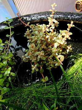 d0212519_22385020.jpg