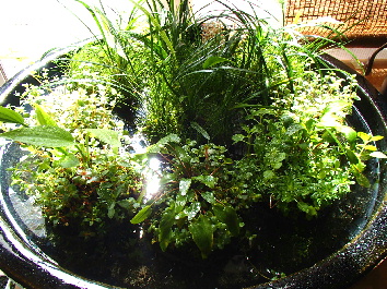 d0212519_2293417.jpg