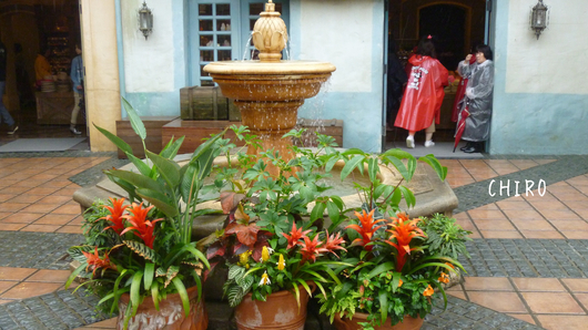 f0293522_2021178.jpg