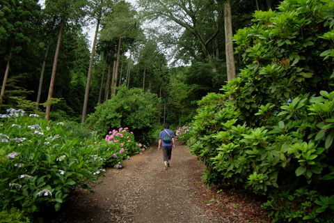 b0281732_13101760.jpg