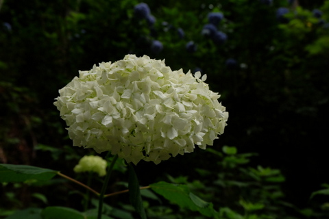 b0281732_1384990.jpg