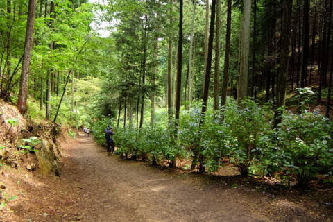 b0281732_138879.jpg