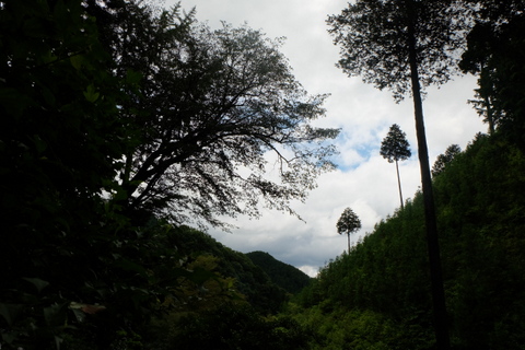 b0281732_1395952.jpg