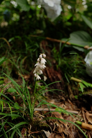 b0281732_2139045.jpg