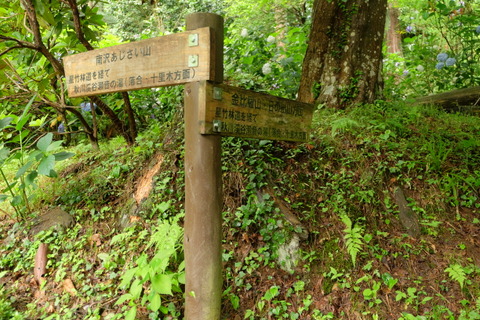 b0281732_213975.jpg