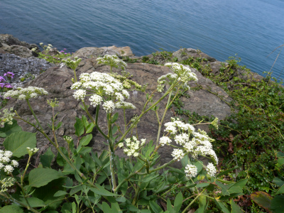 e0272335_2002611.jpg