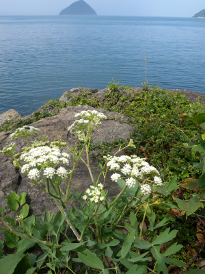 e0272335_2004714.jpg
