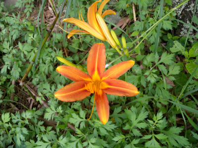 e0272335_20203719.jpg