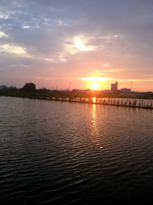b0057140_21441236.jpg