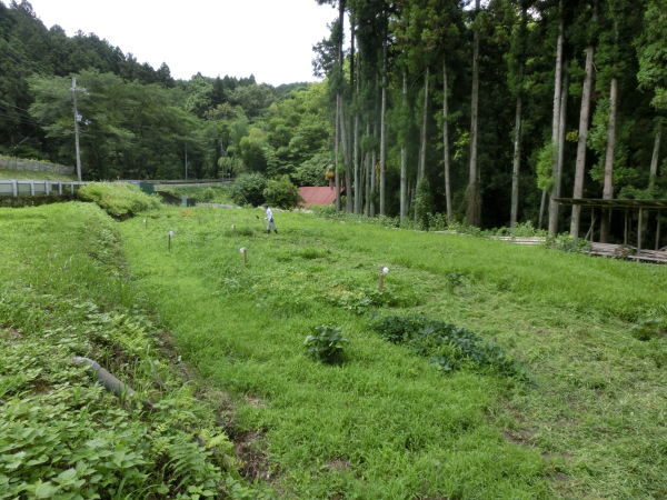 b0132746_21575415.jpg