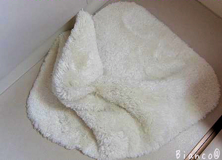d0118050_13322556.jpg