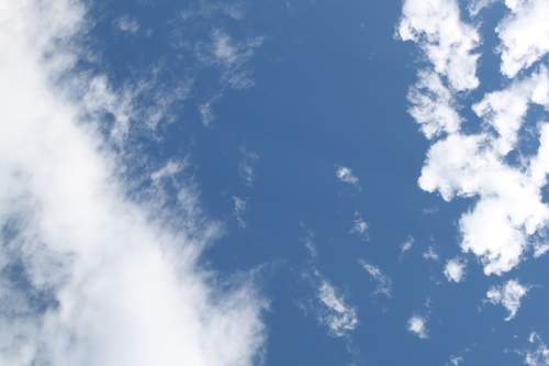 d0129962_1732435.jpg