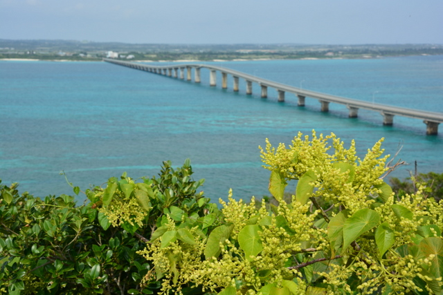 a0212365_17243337.jpg