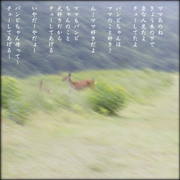 a0197968_1245891.jpg