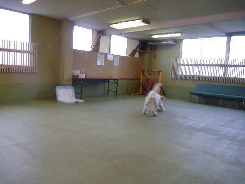 e0161972_13561510.jpg