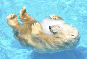 d0224581_15121379.gif