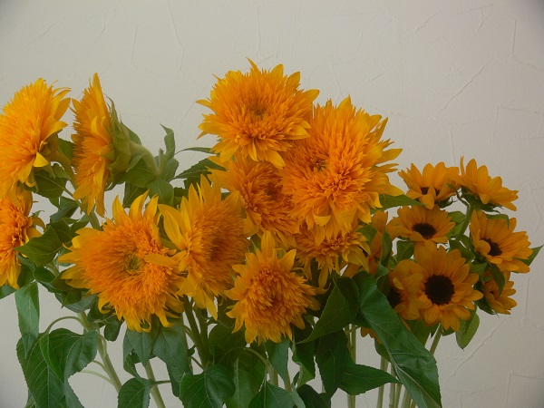 e0140986_1515319.jpg