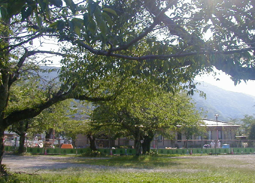 d0053294_062295.jpg
