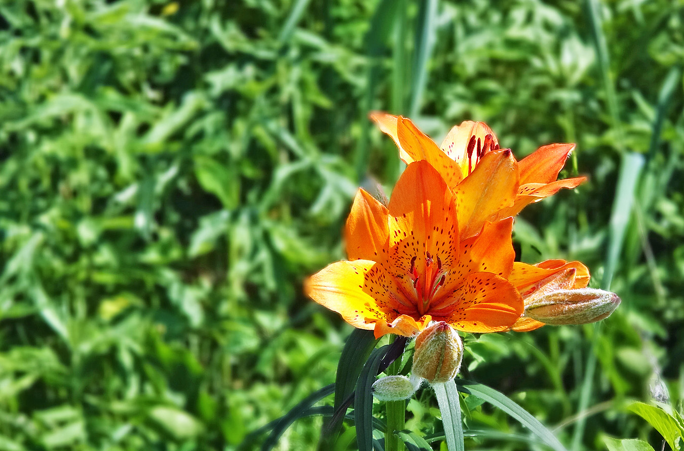 c0025895_5391885.jpg