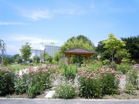 c0117007_20384572.jpg